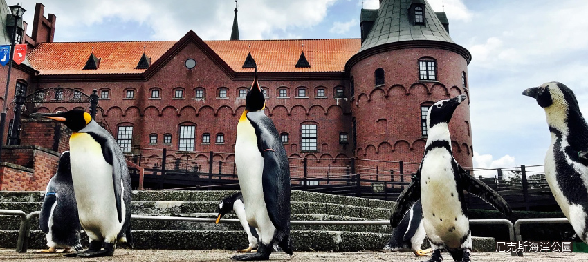 尼克斯海洋公園